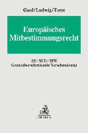 Europäisches Mitbestimmungsrecht de Björn Gaul