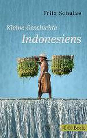 Kleine Geschichte Indonesiens de Fritz Schulze