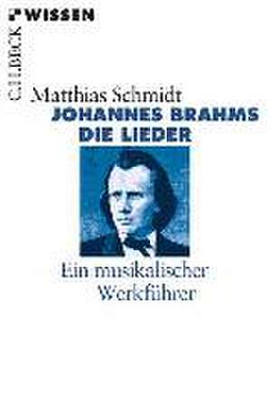 Johannes Brahms de Matthias Schmidt