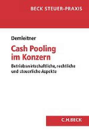 Cash Pooling im Konzern de Andreas Demleitner