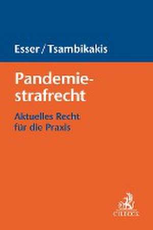 Pandemiestrafrecht de Robert Esser