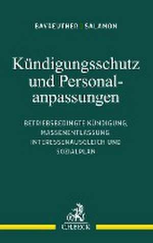 Kündigungsschutz und Personalanpassungen de Frank Bayreuther