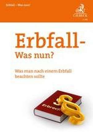 Erbfall - was nun? de Julia Roglmeier