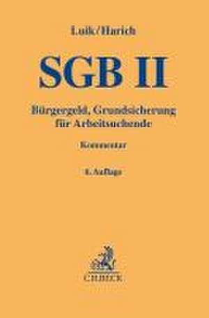 SGB II de Steffen Luik