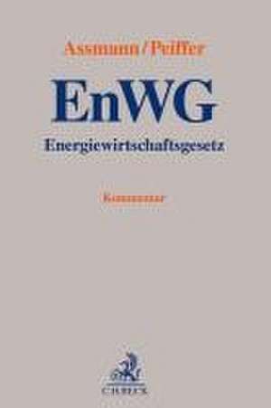 Energiewirtschaftsgesetz de Lukas Assmann