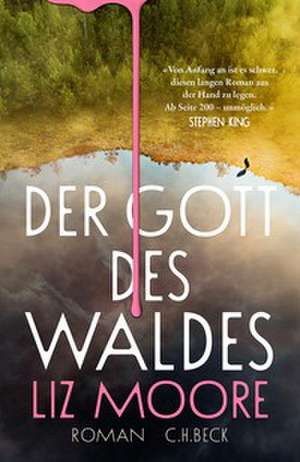 Der Gott des Waldes de Liz Moore