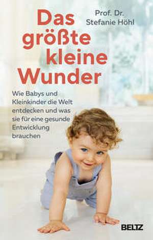 Das größte kleine Wunder de Stefanie Höhl