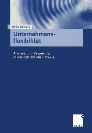 Unternehmensflexibilität: Analyse und Bewertung in der betrieblichen Praxis de Heike Bernard