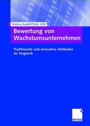 Bewertung von Wachstumsunternehmen: Traditionelle und innovative Methoden im Vergleich de Markus Rudolf