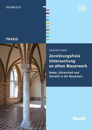 Zerstörungsfreie Untersuchung an altem Mauerwerk de Gabriele Patitz