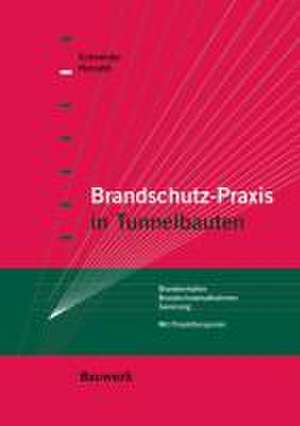 Brandschutz-Praxis in Tunnelbauten de Johannes Horvath