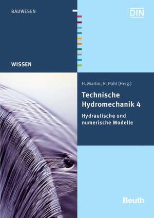 Technische Hydromechanik 4 de Detlef Aigner