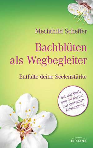 Bachblüten als Wegbegleiter-Set de Mechthild Scheffer