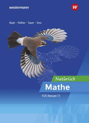 Mathematik für die Fachoberschulen in Hessen. Ausbildungsabschnitt I: Schülerband 11 de Marc Roßner