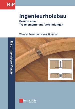 Ingenieurholzbau – Basiswissen: Tragelemente und Verbindungen de W Seim