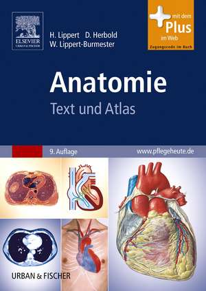 Anatomie de Herbert Lippert