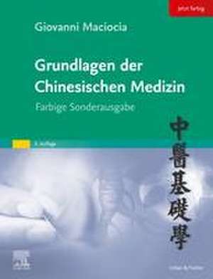 Grundlagen der chinesischen Medizin de Giovanni Maciocia