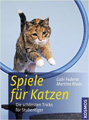 Spiele für Katzen de Gabi Federer