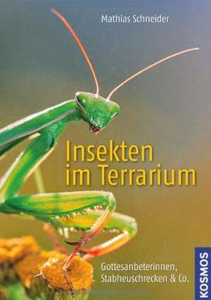 Insekten im Terrarium de Matthias Schneider