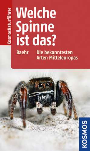 Welche Spinne ist das? de Martin Baehr