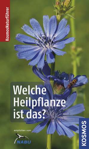 Welche Heilpflanze ist das? de Wolfgang Hensel