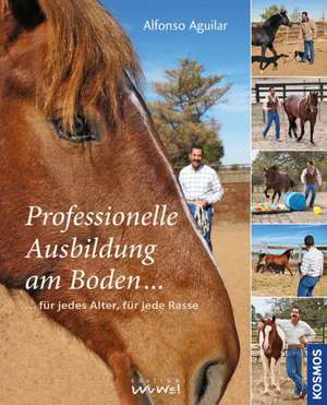 Professionelle Ausbildung am Boden de Alfonso Aguilar