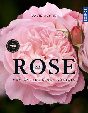 Die Rose de David Austin