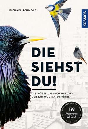 Die siehst du! de Michael Schmolz