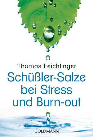 Schüßler-Salze bei Stress und Burn-out de Thomas Feichtinger