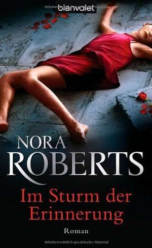 Im Sturm der Erinnerung de Nora Roberts