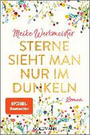 Sterne sieht man nur im Dunkeln de Meike Werkmeister