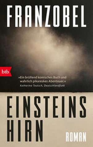 Einsteins Hirn de Franzobel