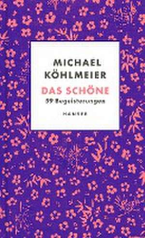 Das Schöne de Michael Köhlmeier