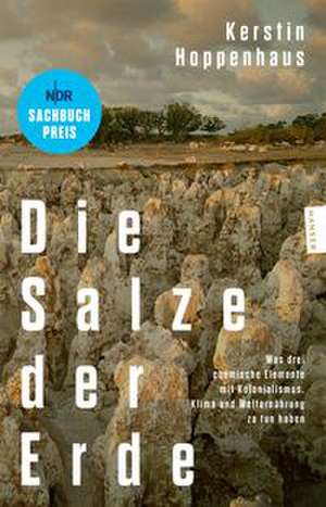 Die Salze der Erde de Kerstin Hoppenhaus