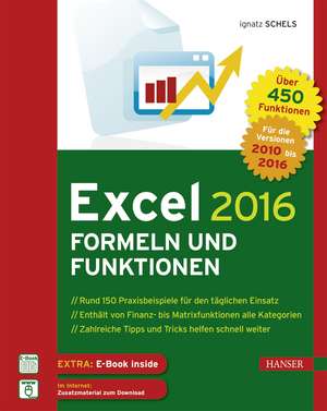 Excel 2016 Formeln und Funktionen de Ignatz Schels