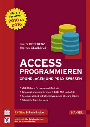 Access programmieren de Walter Doberenz