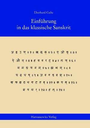 Einfuhrung in Das Klassische Sanskrit: Lehrbuch Mit Ubungen de Eberhard Guhe