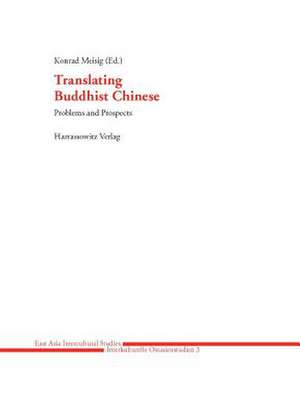 Translating Buddhist Chinese de Konrad Meisig