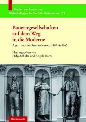 Bauerngesellschaften auf dem Weg in die Moderne de Helga Schultz