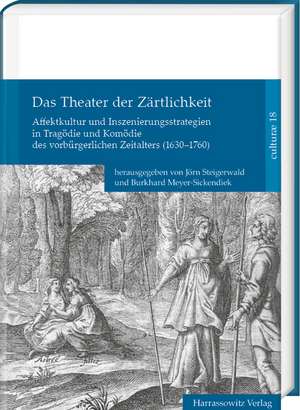 Das Theater der Zärtlichkeit de Jörn Steigerwald