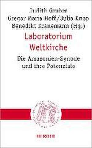 Laboratorium Weltkirche de Judith Gruber