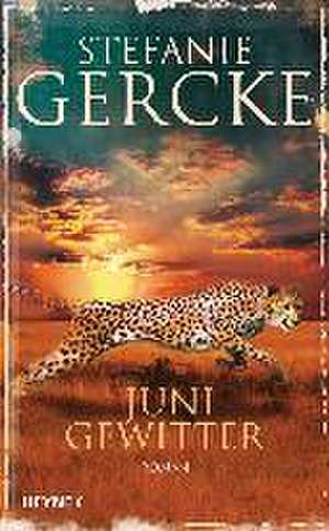 Junigewitter de Stefanie Gercke