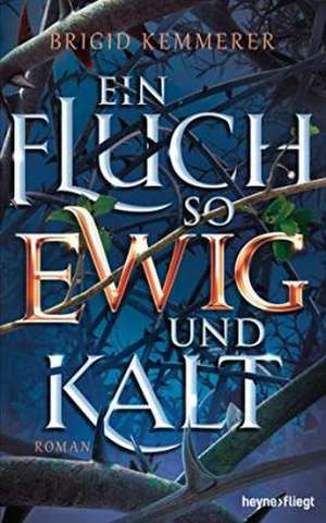 Ein Fluch so ewig und kalt de Brigid Kemmerer