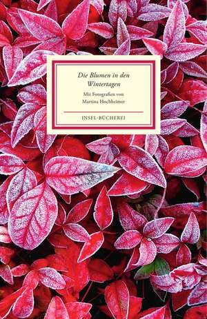 Die Blumen in den Wintertagen de Martina Hochheimer