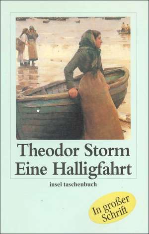 Eine Halligfahrt. Großdruck de Theodor Storm