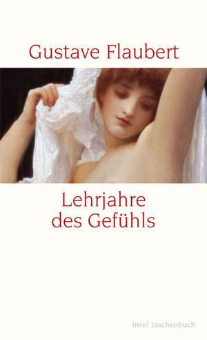 Lehrjahre des Gefühls de Gustave Flaubert