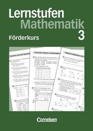 Lernstufen Mathematik 7. Förderkurs 3 de Heinrich Geldermann