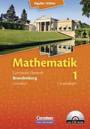 Lernstufen Mathematik. Grundkurs Qualifikationsphase. Schülerbuch. Neues Kerncurriculum. Brandenburg de Gabriele Ledworuski