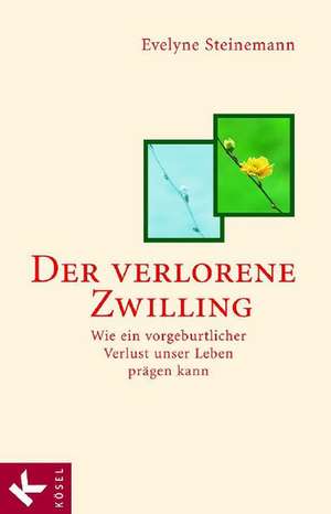 Der verlorene Zwilling de Evelyne Steinemann