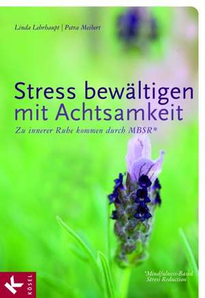 Stress bewältigen mit Achtsamkeit de Linda Lehrhaupt